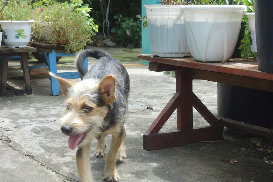 DSC03767